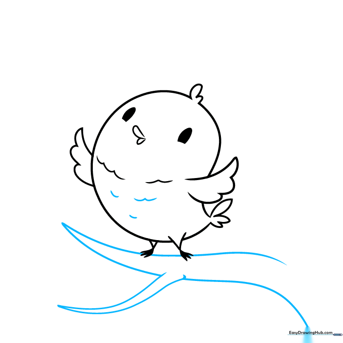 Drawing showing the bird perched on a Y-shaped tree branch with added texture lines on the belly.