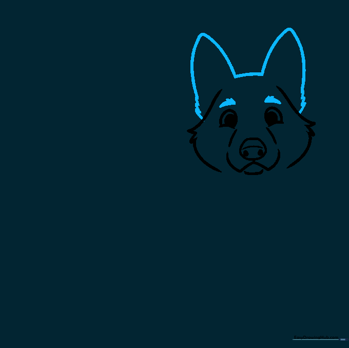 Adding large, alert triangular ears and expressive eyebrows to the puppy sketch.