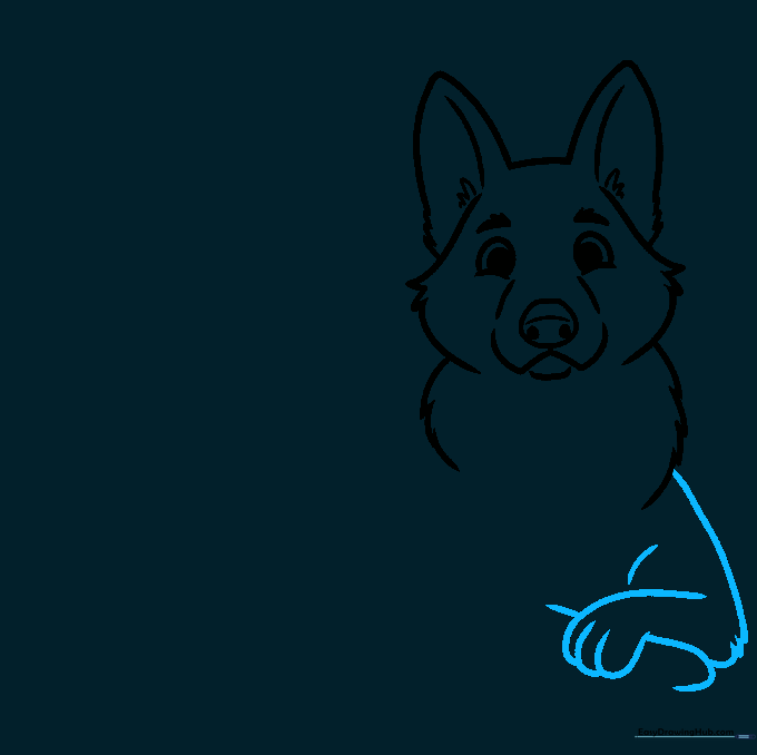Drawing the puppy's front leg, paw, and a small bone toy.
