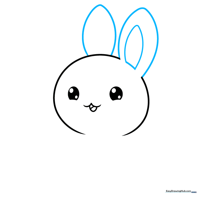 Adding two long, floppy bunny ears to the top of the head.