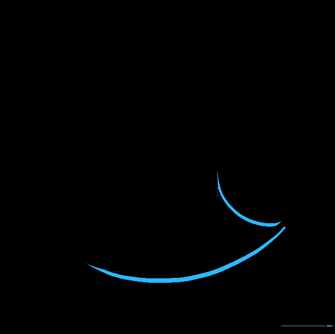 The narwhal head circle now has a long, curved body shape extending from it.