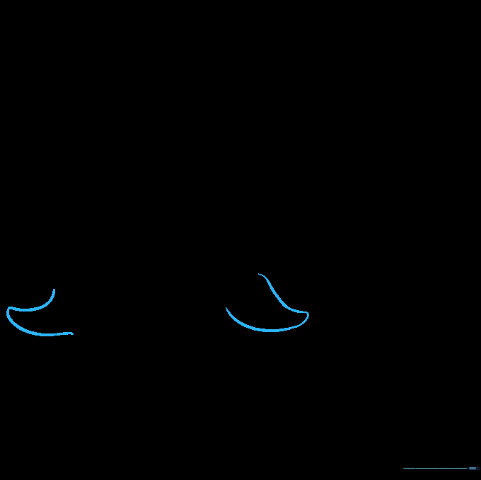 Two rounded, triangular flippers are drawn on the sides of the narwhal.