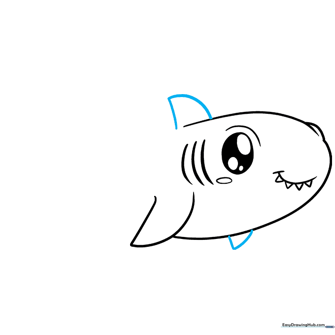 Drawing the dorsal fin on the back and the second pectoral fin on the side of the shark.