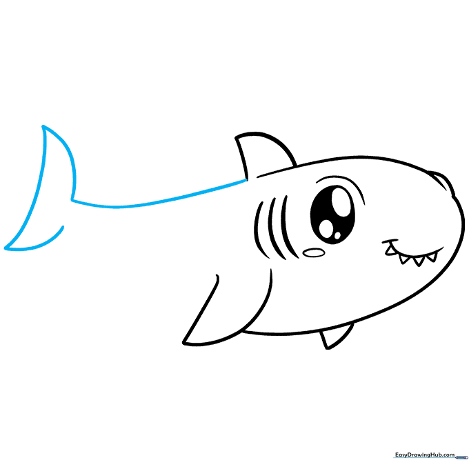 Drawing the shark's back and the tail fin using curved lines.