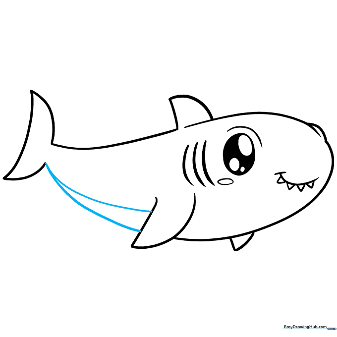 Adding belly lines to the shark to define its underbelly and body shape.