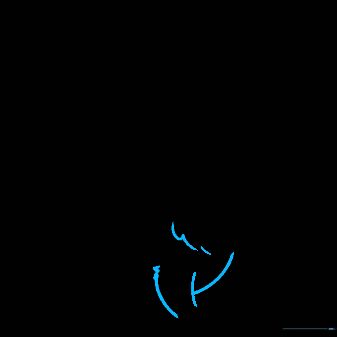 Drawing the chest and front legs of the unicorn cat.