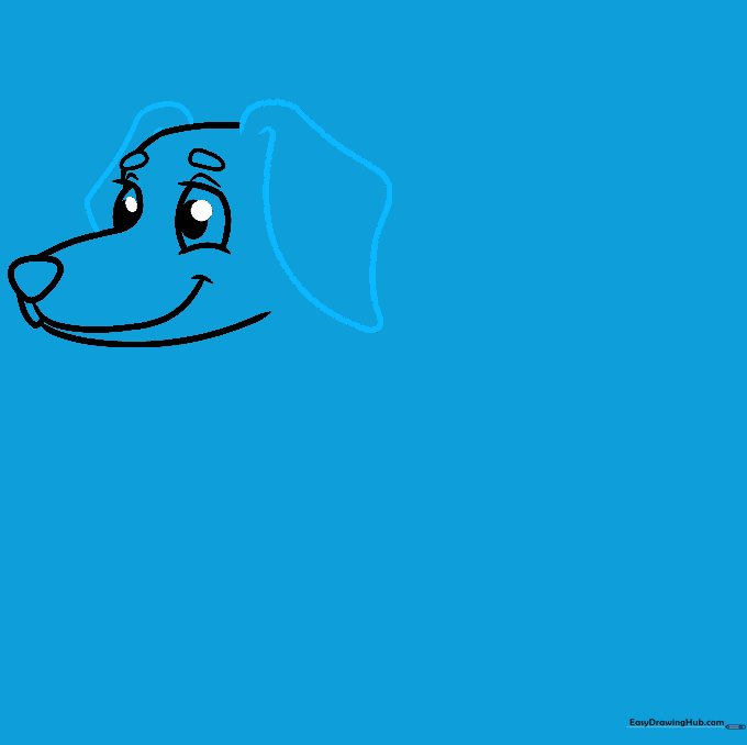 Adding long, curved floppy ears to the dachshund head sketch.