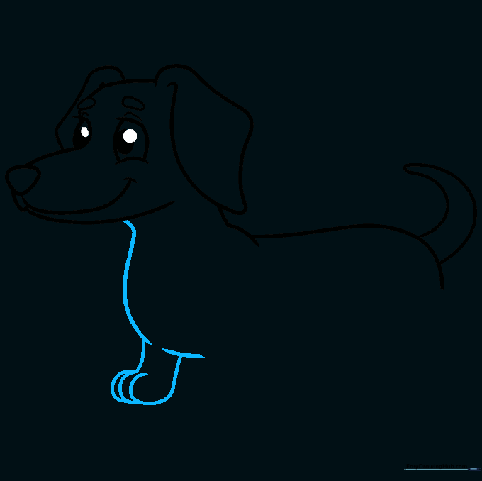 Sketching the neck, chest, and first front leg of the dog.
