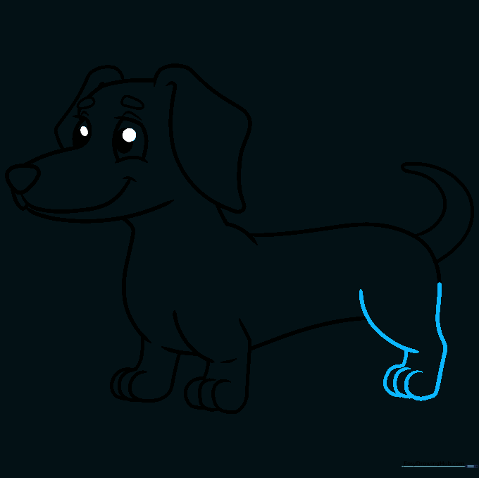 Drawing the rear leg with defined toes and paw.