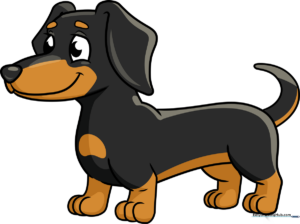 Colorful illustration of a happy dachshund, the final result of the drawing tutorial.