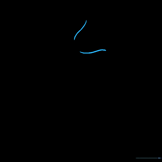 Pencil sketch showing two diverging curved lines forming the base of a daffodil trumpet.