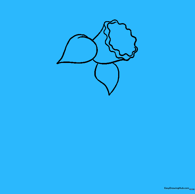 Adding two additional petals to the drawing to create a fuller flower shape.