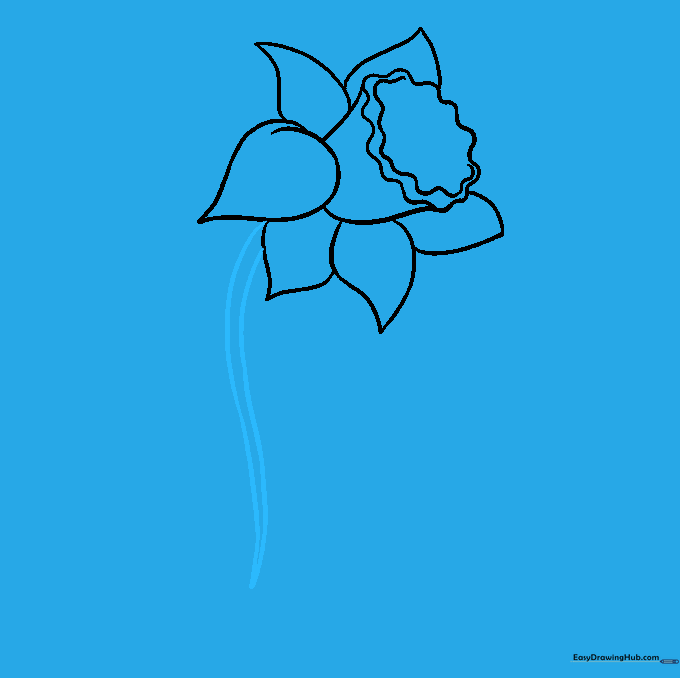 Drawing a long, curved stem connecting to the base of the daffodil flower.