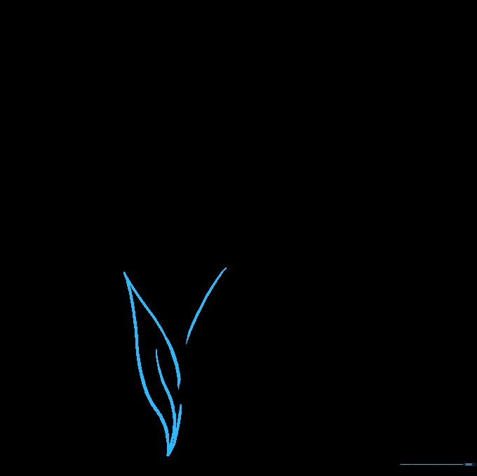 Adding a second leaf and drawing central veins to provide botanical detail.