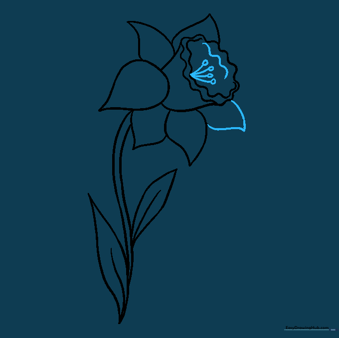 Adding the final details of the stamen and anthers inside the flower's center.