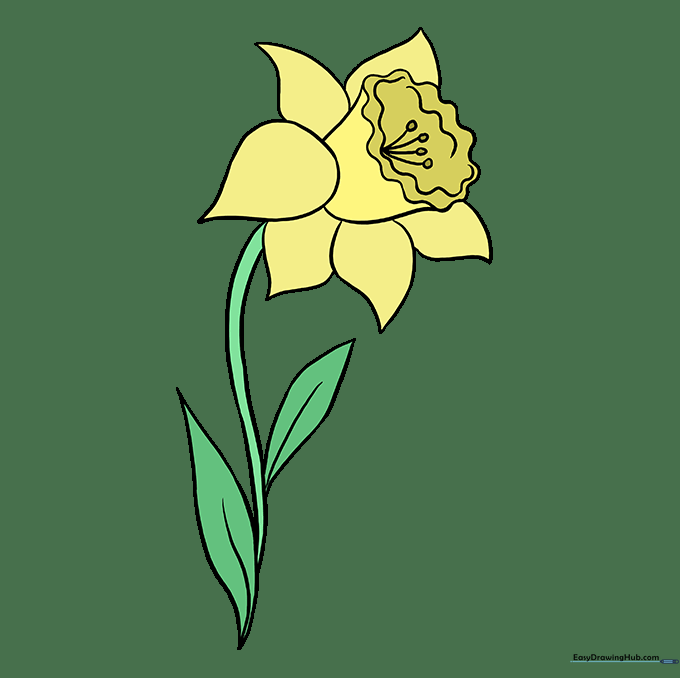 The completed, colored daffodil drawing showing yellow petals and a vibrant orange center.
