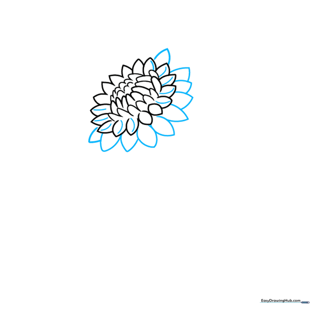 Adding a second layer of petals with contour lines to show depth.