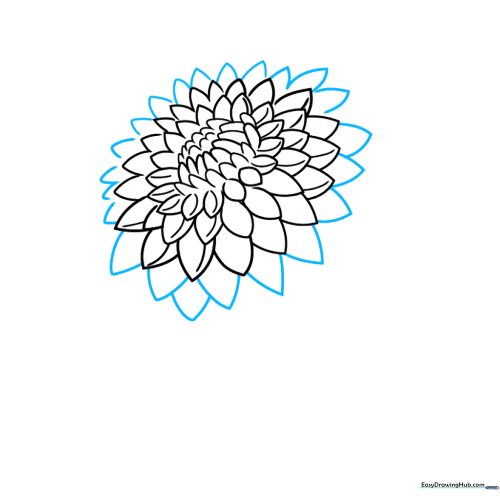 Drawing larger petals on the outer edge of the dahlia flower.