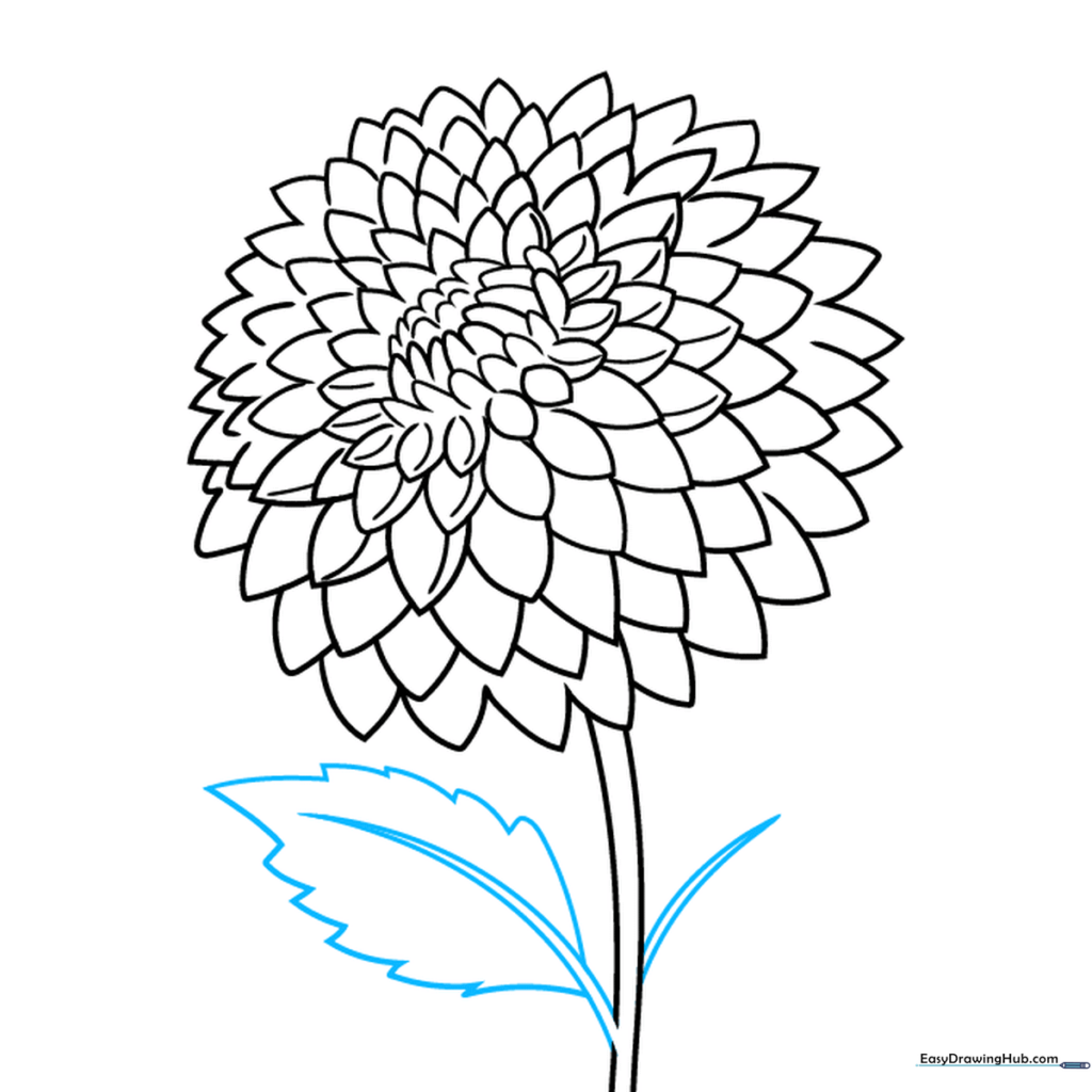 Drawing detailed leaves with jagged edges attached to the dahlia stem.