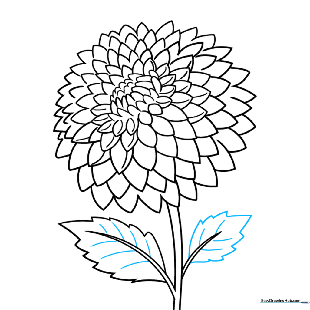 Adding fine vein details to the leaves of the dahlia drawing.