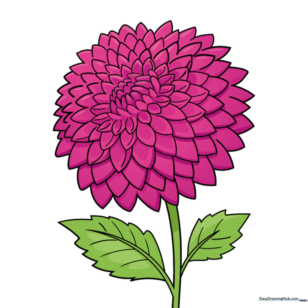 A fully colored dahlia flower with vibrant pink and red petals.