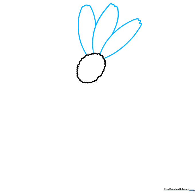 Drawing the first two daisy petals with wavy, rounded tips extending from the center.