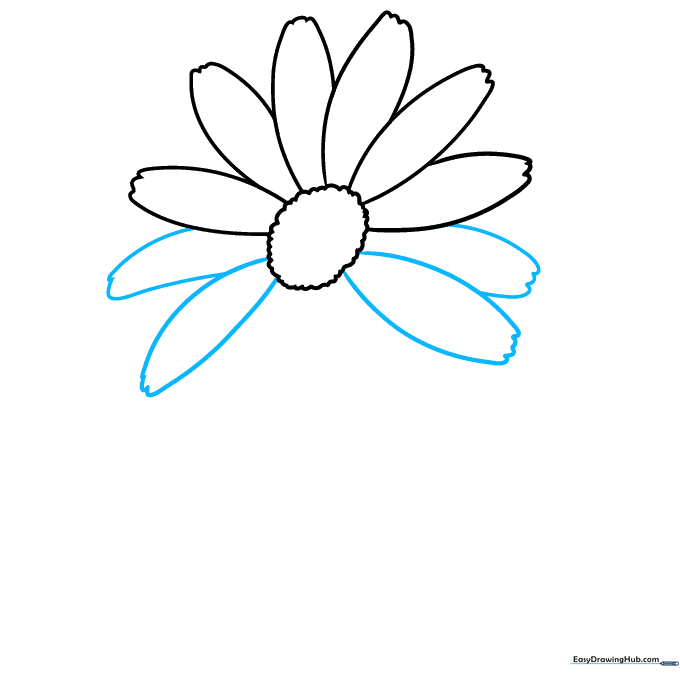 A full circle of daisy petals surrounding the center.