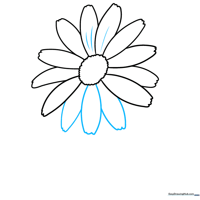 Adding fine, curved lines inside each petal for texture.