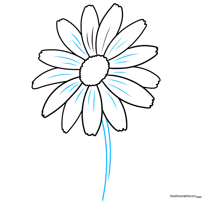 Drawing the long, slender stem of the daisy flower.