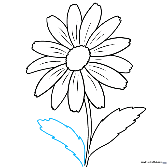 Adding a second leaf to the opposite side of the stem.