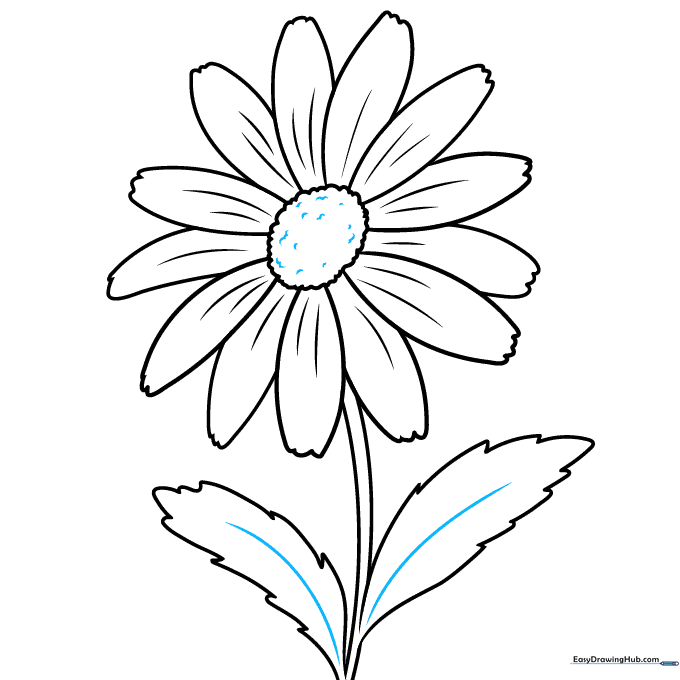 Adding final details like leaf veins and center texture to the daisy drawing.