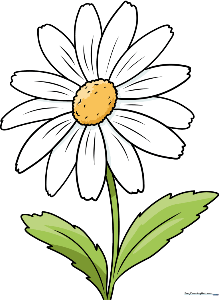 A vibrant, finished daisy flower drawing, perfect for spring art projects.