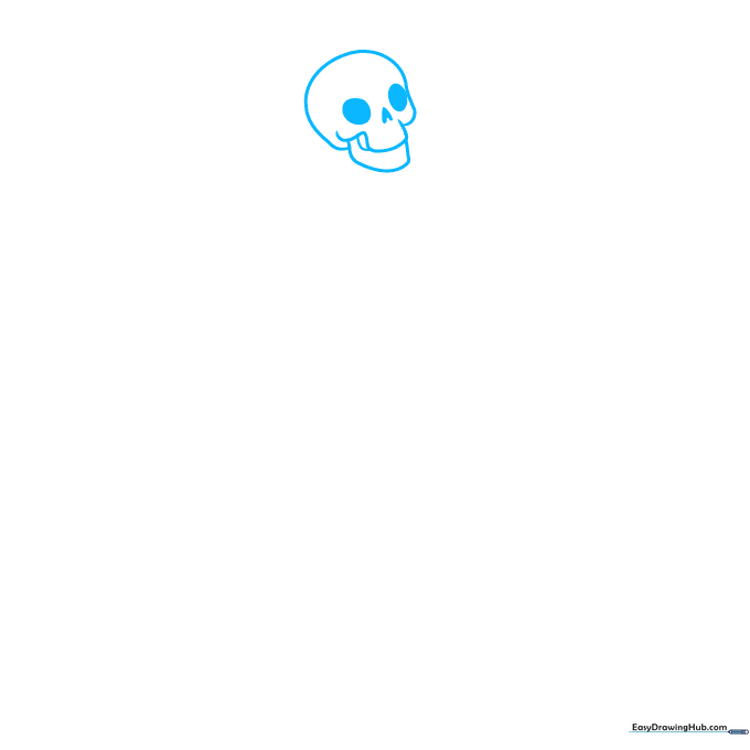 Pencil sketch of a skeleton skull showing eye sockets, nose cavity, and jaw structure.