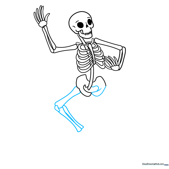 Drawing the leg bones with kneecaps and elongated segments.