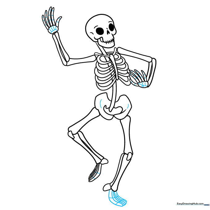 Adding textural details to the skeleton bones using small lines and dashes.