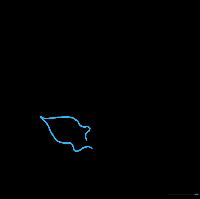 Outlining the characteristic jagged, wavy shape of a dandelion leaf.