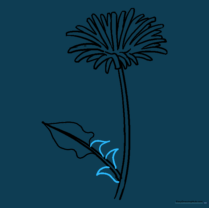 Adding triangular spikes to the edges of the dandelion leaf for realistic detail.