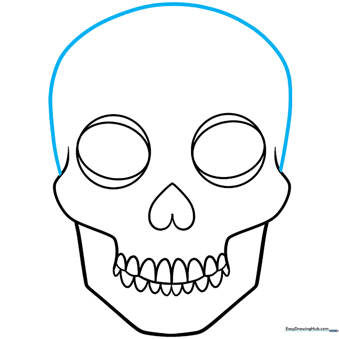 Completing the top of the skull with a large, rounded arch connecting the cheekbones.