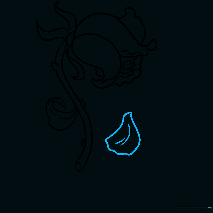 Sketching a single petal falling away from the main flower.