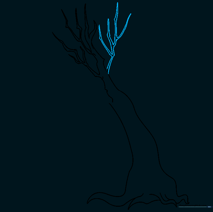 A second, larger branch diverging from the main trunk structure.