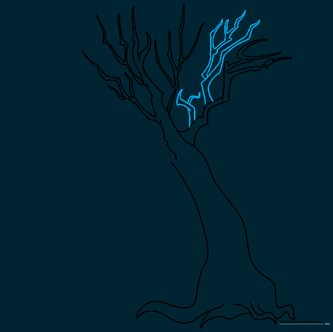 Additional small twigs filling the gaps between larger branches to create a fuller tree silhouette.