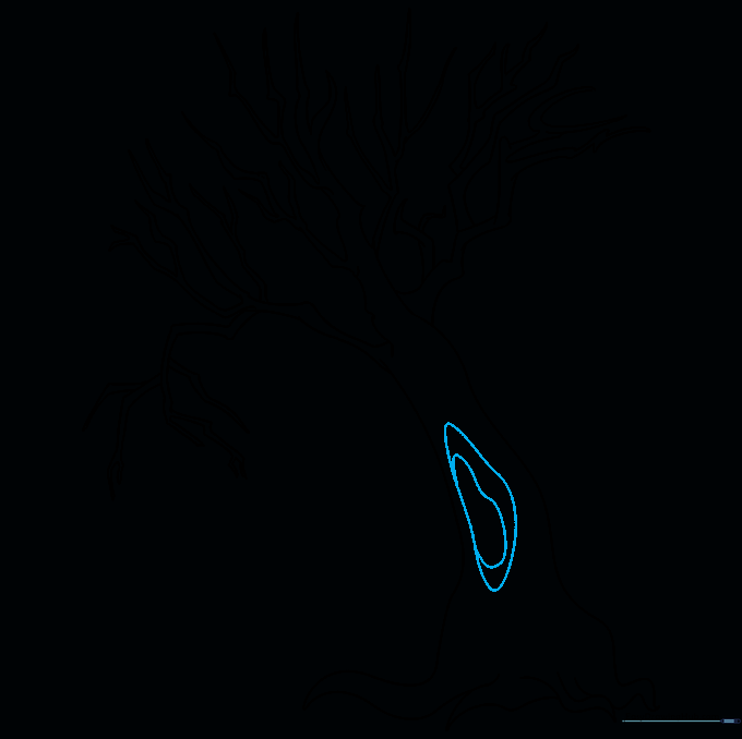 An oval-shaped hollow drawn on the trunk of the tree to add detail and character.