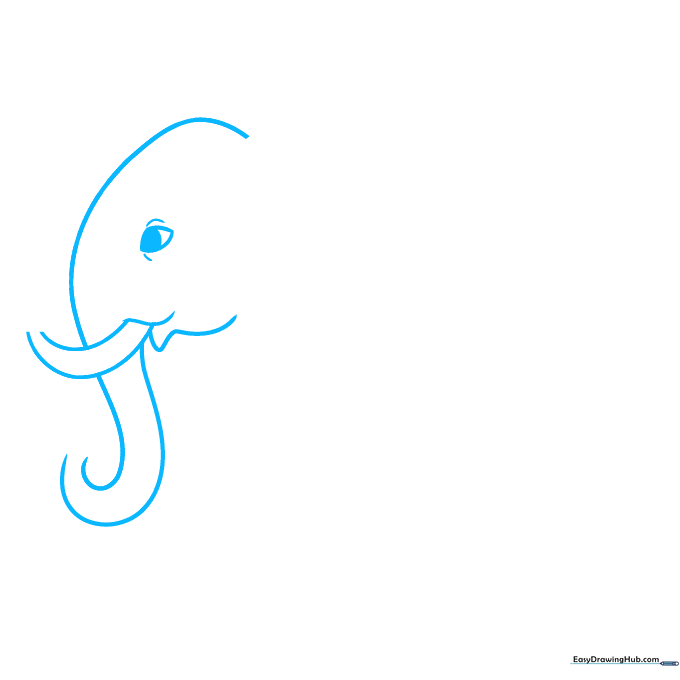 Close-up sketch of an elephant's head and trunk showing the initial outline and eye placement.