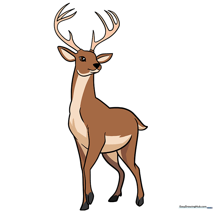 A fully colored, friendly cartoon deer drawing.