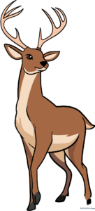 A completed, colorful illustration of a deer standing in a forest setting.