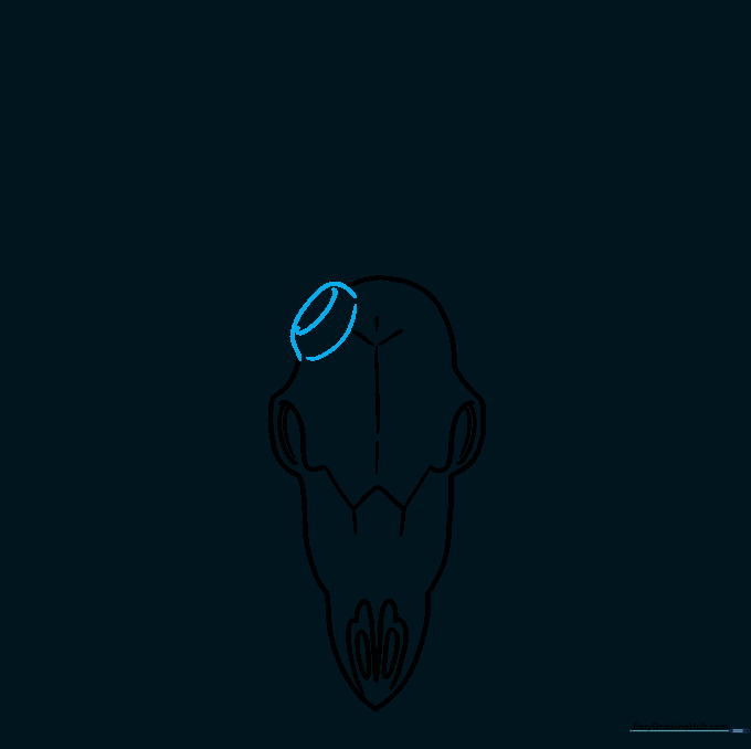 Sketching the cylindrical base for the deer antlers.
