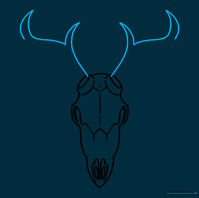 Drawing the initial curves for the deer antlers.