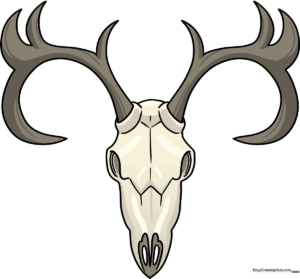 A completed, stylized deer skull drawing with antlers, ready for coloring.