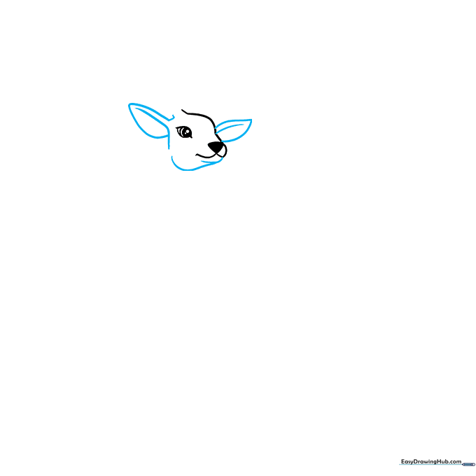 Drawing the deer's ears and jawline with clear, curved pencil strokes.