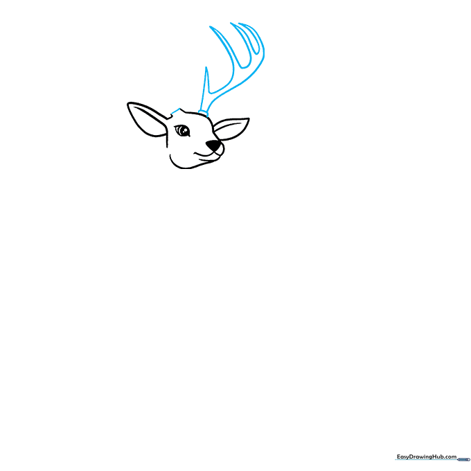 Adding the first branching antler to the deer's head.